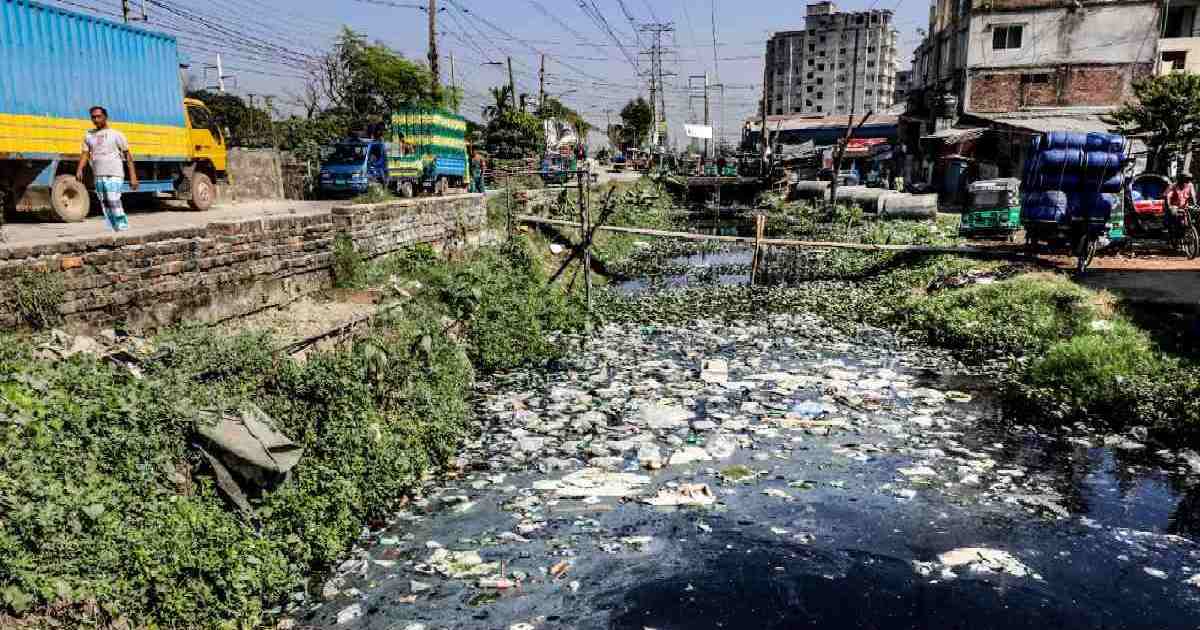 Invasive mosquitoes offer no relief to DNCC dwellers